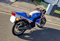 Yamaha RD250 Bestandsaufnahme_Bilder_14-2